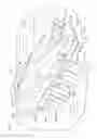 Fig. 02 - Vibration powered toy