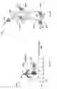 Fig. 04 - Vibration powered toy