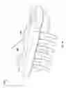 Fig. 13 - Vibration Powered Toy