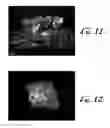 Fig. 08 - NOVEL ENHANCED FILAMENTOUS SILICONE PRODUCTS AND PROCESSES