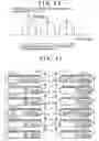 Fig. 17 - Wireless communication device, wireless transmission system and wireless transmission method