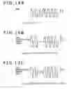 Fig. 19 - Wireless communication device, wireless transmission system and wireless transmission method