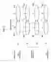 Fig. 04 - CELL SELECTION METHOD AND MOBILE STATION