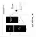 Fig. 05 - Dynamically allocating carriers