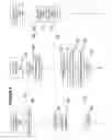 Fig. 06 - Location restricted content delivery over a network