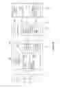 Fig. 06 - Method of community gaming based on elements collected in a base game and a gaming system