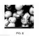 Fig. 06 - Di- and mono-alkoxysilane functionalized polymers and their application in the Bayer process
