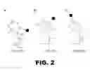 Fig. 06 - Non-standard insulin analogues