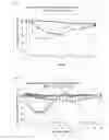 Fig. 02 - Insulin derivatives having an extremely delayed time-action profile