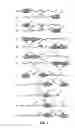 Fig. 02 - Growth hormone polypeptides and methods of making and using same