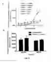 Fig. 04 - High affinity VEGF-receptor antagonists