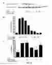 Fig. 07 - High affinity VEGF-receptor antagonists