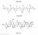 Fig. 11 - High affinity VEGF-receptor antagonists