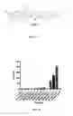 Fig. 14 - High affinity VEGF-receptor antagonists