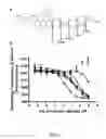 Fig. 17 - High affinity VEGF-receptor antagonists