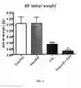 Fig. 22 - High affinity VEGF-receptor antagonists