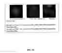 Fig. 25 - High affinity VEGF-receptor antagonists