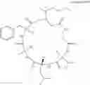 Fig. 06 - Production and use of antitumoral cyclodepsipeptides