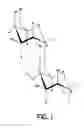 Fig. 02 - SELECTIVELY DEPOLYMERIZED GALACTOMANNAN POLYSACCHARIDE