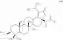 Fig. 09 - Lupane derivatives useful for treating HIV