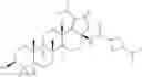 Fig. 87 - Lupane derivatives useful for treating HIV