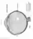 Fig. 02 - Steroid Containing Drug Delivery Systems