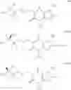 Fig. 16 - Deuterium substituted xanthine derivatives