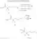 Fig. 40 - Deuterium substituted xanthine derivatives