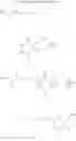Fig. 53 - Deuterium substituted xanthine derivatives