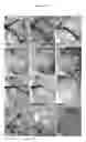 Fig. 04 - Treatment of malaria