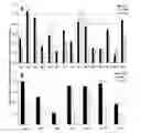 Fig. 01 - Oligonucleotide duplexes comprising DNA-like and RNA-like nucleotides and uses thereof
