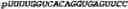 Fig. 115 - Oligonucleotide duplexes comprising DNA-like and RNA-like nucleotides and uses thereof