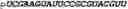 Fig. 148 - Oligonucleotide duplexes comprising DNA-like and RNA-like nucleotides and uses thereof