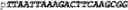 Fig. 149 - Oligonucleotide duplexes comprising DNA-like and RNA-like nucleotides and uses thereof