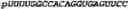 Fig. 151 - Oligonucleotide duplexes comprising DNA-like and RNA-like nucleotides and uses thereof