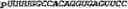 Fig. 159 - Oligonucleotide duplexes comprising DNA-like and RNA-like nucleotides and uses thereof