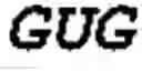 Fig. 161 - Oligonucleotide duplexes comprising DNA-like and RNA-like nucleotides and uses thereof