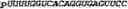 Fig. 165 - Oligonucleotide duplexes comprising DNA-like and RNA-like nucleotides and uses thereof