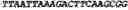 Fig. 199 - Oligonucleotide duplexes comprising DNA-like and RNA-like nucleotides and uses thereof