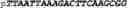 Fig. 228 - Oligonucleotide duplexes comprising DNA-like and RNA-like nucleotides and uses thereof