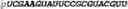 Fig. 249 - Oligonucleotide duplexes comprising DNA-like and RNA-like nucleotides and uses thereof