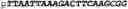 Fig. 272 - Oligonucleotide duplexes comprising DNA-like and RNA-like nucleotides and uses thereof