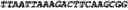 Fig. 28 - Oligonucleotide duplexes comprising DNA-like and RNA-like nucleotides and uses thereof
