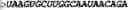 Fig. 289 - Oligonucleotide duplexes comprising DNA-like and RNA-like nucleotides and uses thereof