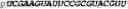 Fig. 295 - Oligonucleotide duplexes comprising DNA-like and RNA-like nucleotides and uses thereof