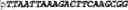 Fig. 296 - Oligonucleotide duplexes comprising DNA-like and RNA-like nucleotides and uses thereof