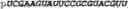 Fig. 317 - Oligonucleotide duplexes comprising DNA-like and RNA-like nucleotides and uses thereof