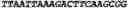 Fig. 55 - Oligonucleotide duplexes comprising DNA-like and RNA-like nucleotides and uses thereof