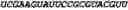 Fig. 89 - Oligonucleotide duplexes comprising DNA-like and RNA-like nucleotides and uses thereof