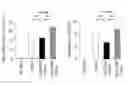 Fig. 07 - Method of treating pneumoconiosis with oligodeoxynucleotides